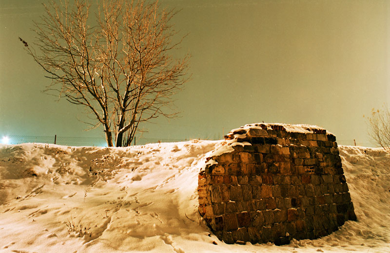 winter baum mauer